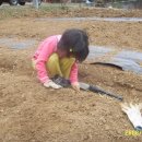 무영농장 이미지