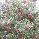 선명3차 입구 이미지