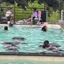 슈빌라움 이미지