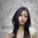 브로시스 이미지