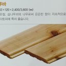 향목 이미지