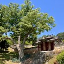 통진현감부사선정비 이미지