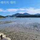 레이지 데이 이미지