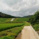 여주-0272 이미지