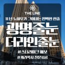 디지털크리닝 | 광명줄눈 자이더샵포레나 1단지 입주 전 폴리우레아 시공 후기