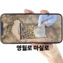104마을 생활문화지원센터 | [영월 힐링여행 추천] 영월로 마실로 – 산골마을 1박2일 &amp; 이열치열 산골맛 당일여행 (8월 특별편)