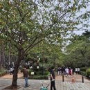 울산 여행 대왕암공원 해안산책로&amp;출렁다리 입장료 주차정보
