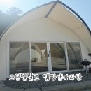 화니캠핑앤글램핑 | 가평 단체 글램핑하기도 좋고 아이데리고 가기도 좋은 그린델발트 캠핑앤카라반 중형 글램핑 후기