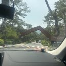 689 | 한복판에서 힐링+미식 다 되는 곳, 파라스파라의 반전 매력 PARK 689 후기 | 망고크림새우, 리조또 미쳤음