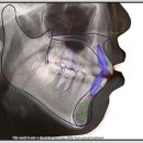 이바로치과교정과치과의원 이미지