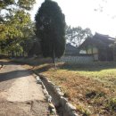 신길선사유적지 이미지