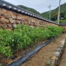 북쌍리고택 이미지