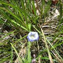 방축농장 이미지