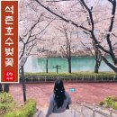 하늘도시 8호 근린공원 화장실 | 오늘 석촌호수 벚꽃 축제 현재 핫한 서울 벚꽃명소 포토존 추천코스