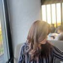 비산2.3동행정복지센터 주차장 | 안양 비산동 미용실 이오헤어 하리쌤께 예쁘게 염색했어요