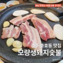 모량갈비 | 경주 충효동 맛집｜모량 생돼지 숯불 모량숯불 착한가격 찐로컬맛집 내돈내산 리뷰