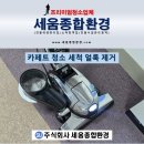 주식회사 두드림 | 대전 카페트 컬비 청소 묵은 얼룩 제거 세척 과정