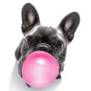 LH아파트(공공임대) 센텀큐브 이미지