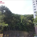 사하구-11 이미지