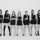 시그니처 티브이데일리