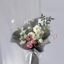 그레이스졸리