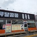 유달콩물평화광장점 이미지