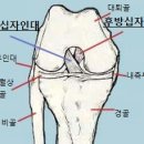 삼성바른신경외과 이미지
