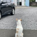 난바다프리다이브