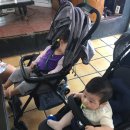 연정목장 이미지