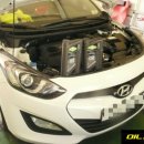 뉴오일존 이미지