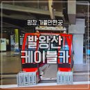주)용평리조트 드래곤프라자 | 평창 발왕산 케이블카 강원도 평창갈만한곳 여름여행 코스
