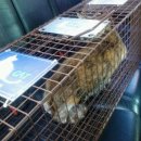 미스고PC 이미지