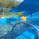 이솔팜빌리지 각시재 이미지