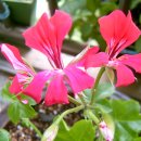 행복한들 이미지