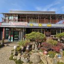 조남로 | 구미선산갈만한곳 구미농부네 연탄불고기와 직접끓인청국장 맛집 탐방 후기