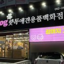 핫독애견백화점 이미지