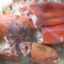 참치랑가재랑 이미지