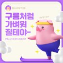 다돼지 이미지