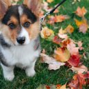 방주동물병원 이미지