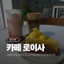 로이사 | 용인 애견동반 가능한 고기리 카페 로이사 후기