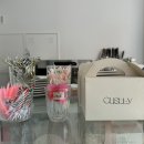 커스티(custty) 이미지