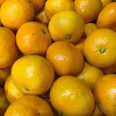 몬스터핏189 이미지