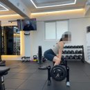 랩 지피티짐 이미지