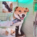 메디팜조약국 이미지