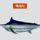 참치랜드 이미지