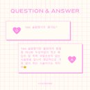 유어바비 이미지