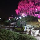 당산나무 공중화장실 이미지