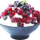 설빙통영