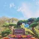 향기와 함께하는 몸과 마음 힐링 여행 이미지