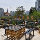 넘은들근린공원 이미지